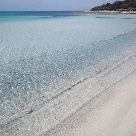 Casa Istella - Stintino Βίλα Εξωτερικό φωτογραφία
